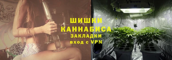гидра Аркадак