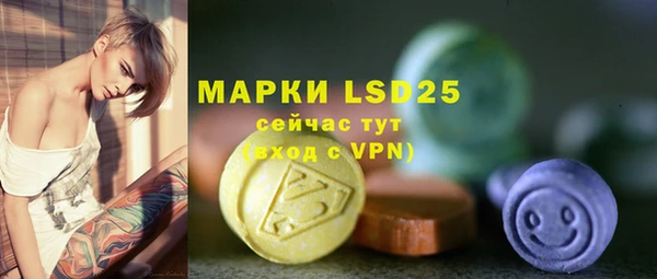 гидра Аркадак