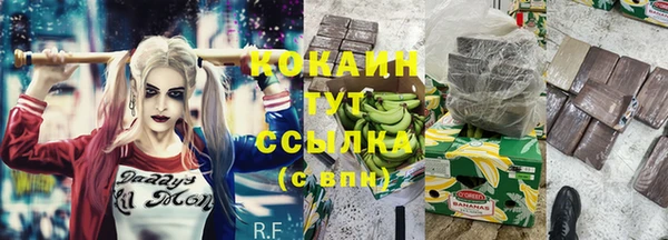 ГАЛЛЮЦИНОГЕННЫЕ ГРИБЫ Арсеньев