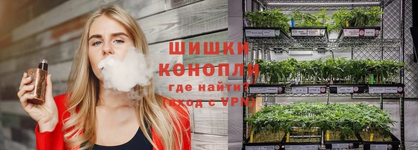 гидра Аркадак