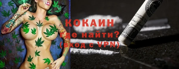 ГАЛЛЮЦИНОГЕННЫЕ ГРИБЫ Арсеньев